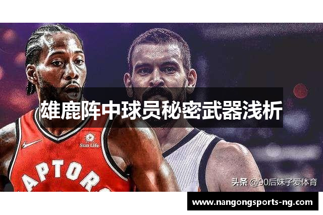 雄鹿阵中球员秘密武器浅析